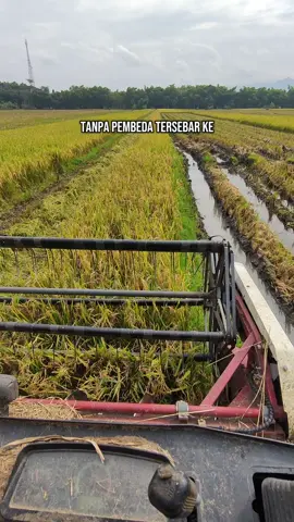 Seeezzz 🛵#combineharvester 