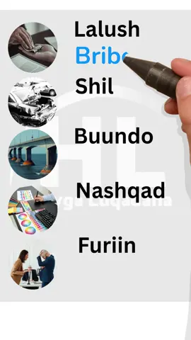 Learn English and Somali #englishiyosomali #somalitoenglish #hoygaluqadaha 