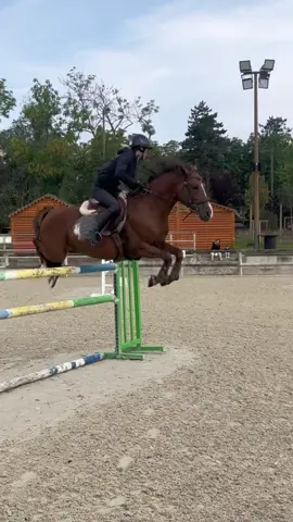 Etalon de 6 ans😍Je trouvais les commentaires assez constructif donc voila 🫣 merci à ma coach . On finit sur un double sortir verticale à 125😍