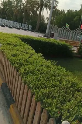 #CapCut 