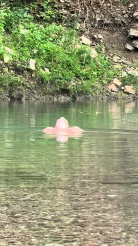 Good morning world. Wake up as free as possible. Be yourself. Be free #missouri #freedom #river 