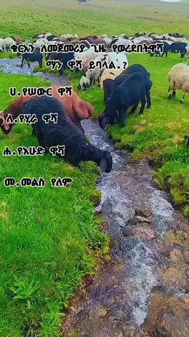 #fbyツ #ያረብ_እግሬን_ወደ_ኸይር_ምራልኝ🤲 #እባካችሁ_ኮፒ_ሊንኮ_እና_ሼር_ላይክ_አድርጉት #ስደተኞችን_ፈጣሪ_ይጠብቅ 