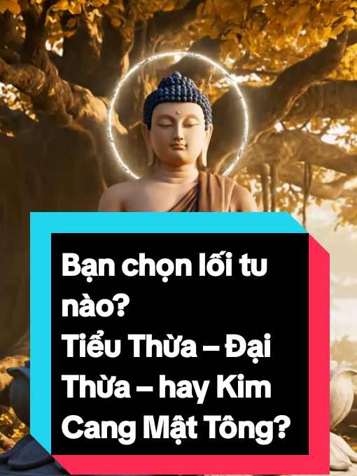 Bạn chọn lối tu nào? Tiểu Thừa – Đại Thừa ‐-hay Kim Cang Mật Tông? Ba con đường ba cách bước. Nhưng nếu chân thành… thì đều về một nơi. Nơi không cần gọi tên vì Phật chưa từng chia đạo. BạnChọnLốiTuNào? Khi Đức Phật còn tại thế, Ngài không chia đường. Chỉ có chúng sanh… cần những phương tiện khác nhau để bắt đầu. Tiểu Thừa – Đại Thừa – Kim Cang Thừa… Không phải hơn không phải kém. Chỉ là khác căn cơ. Và rồi, nếu có ai bước một bước thật lòng… Phật sẽ hiện không cần danh xưng. #phatphap  #tieuthua  #daithua #mattong  #kimcangthua #phatgiao  #Tamlinh #tinhthuc  #tamlinhtinhthuc #LearnOnTikTok 