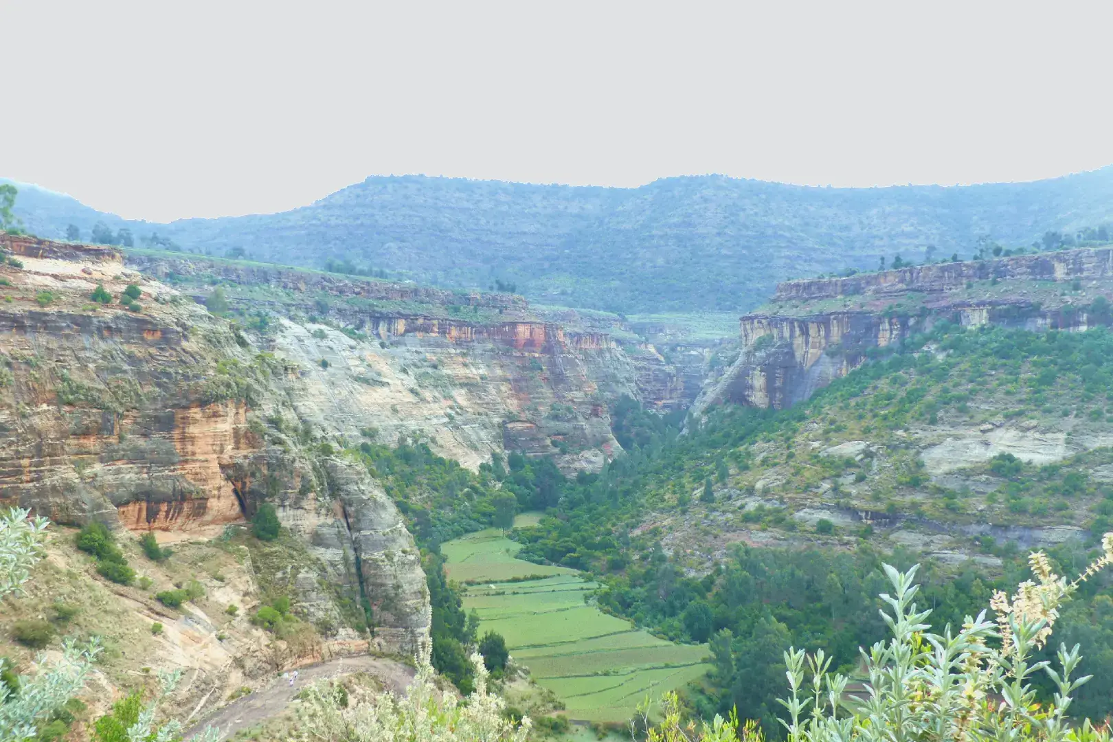 Bahira-Si'heta  #tigraytiktok🇻🇳🇻🇳tigraytiktok #ilovetigray❤💛❤ #landscape #heritage #mountains 