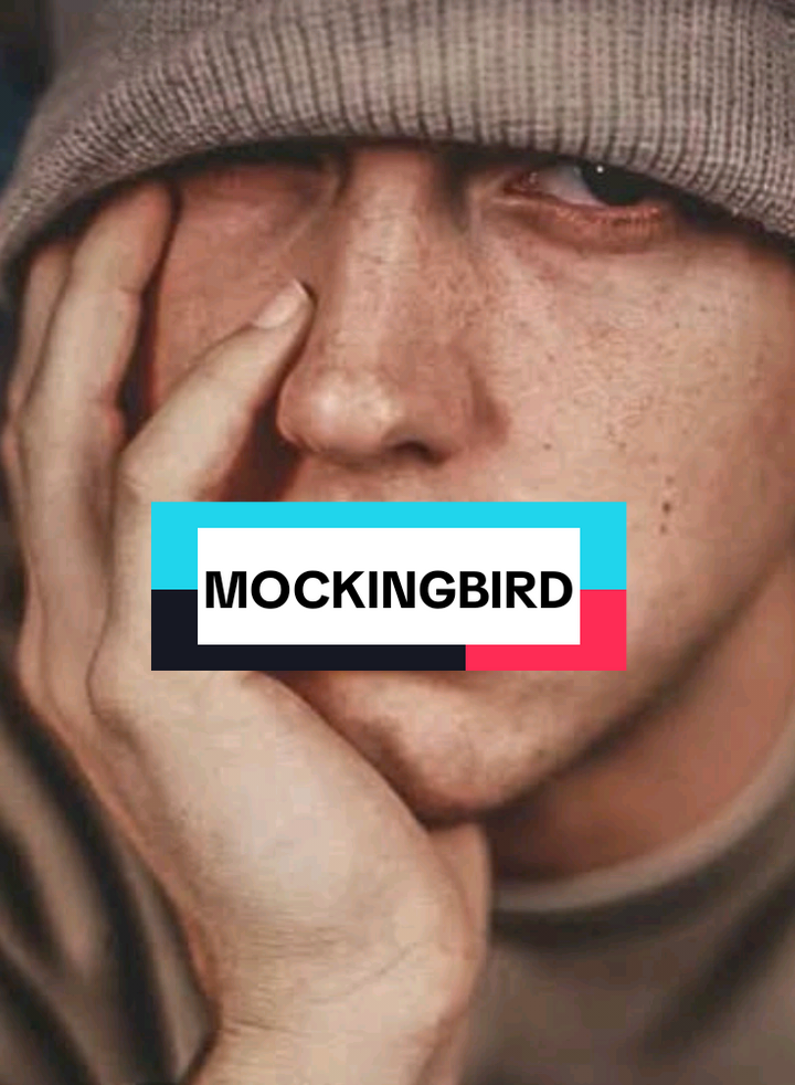 masterpiece song #eminem #foryou #slimshady #xyzbca #skycreators #skychildrenofthelight #TheTwoEmbers 