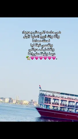 #رشيد #fyp #Love #رومانسي #elissa #اكسبلور 