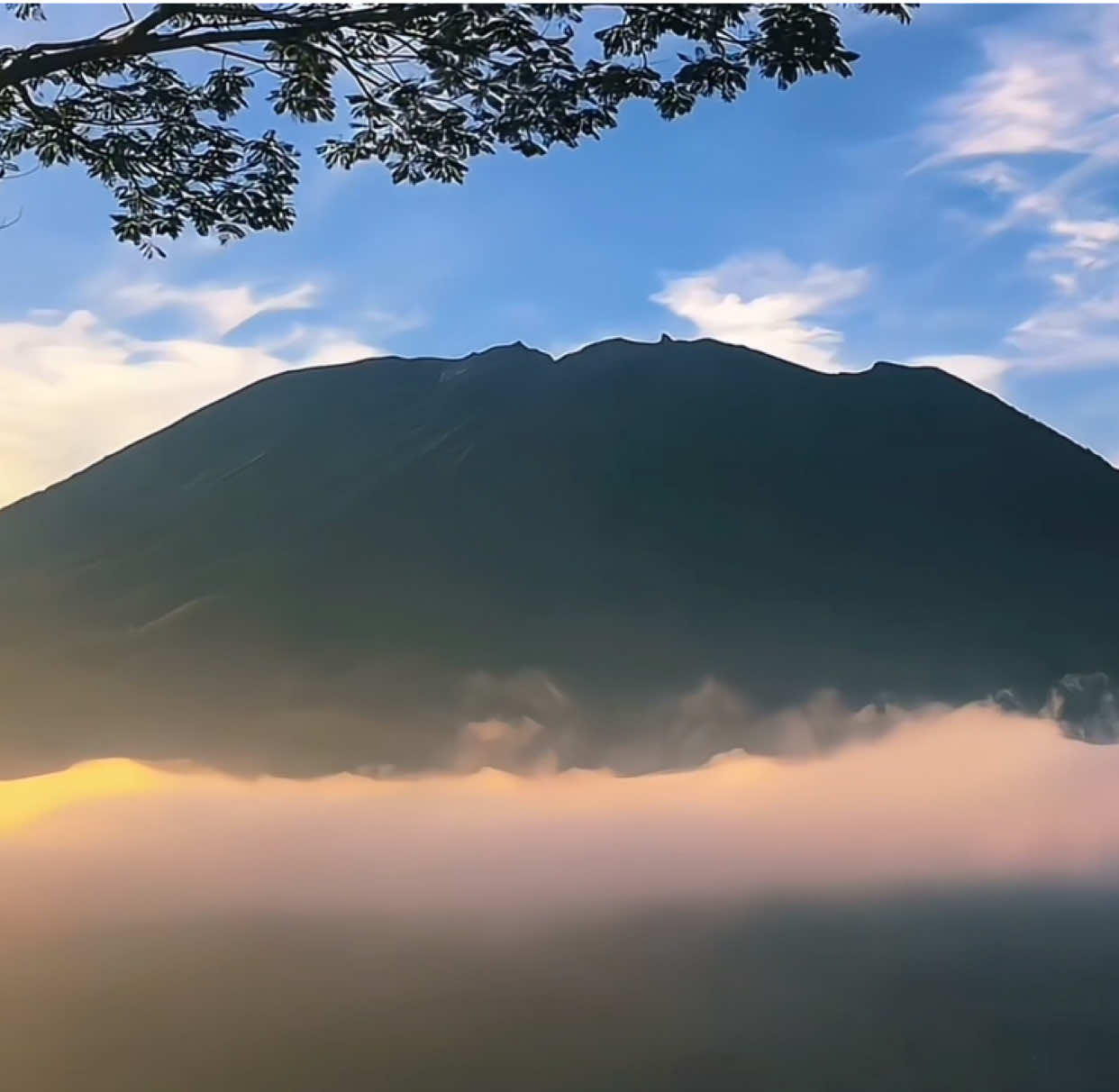 fading light | #fyp #foryou #aesthetic #bukit #cinematic #estetik #xyzbca 
