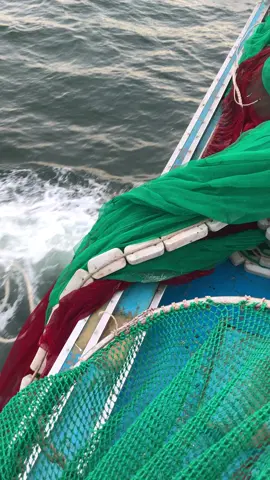 Mới lên cái neo là ra gặp cá  cho đội nhà lên sóng luôn 😁😁😁