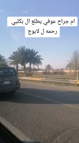 #بابل #بغداد #العراق #مالي_خلق_احط_هاشتاقات #الشعب_الصيني_ماله_حل #النجف #الموصل #الديوانيه_الحبيبه #الشعب_الصيني_ماله_حل😂😂 
