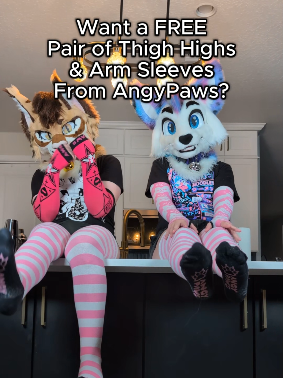 ✨🐾Meow Meow! 🐾✨ Only one week left to enter for our AngyPaws Thigh Highs + Arm Sleeves giveaway! All you need to do is place ANY order over on Galaxy.Clothing (you know where to find the link) and you'll be automatically entered into it! No purchase necessary, see site for details!  AngyPaws socks are some of the comfiest and most durable ones in my collection, and I've been a user of them even before they reached out to me! Not sponsored, just a big fan of their stuffs!  #furry #furyp #fyp #furryconvention #fursuit #fursuiter #fursuitersoftiktok #interview #furryfandom #art #fursona #furryartist #furries #digitalart #fursuit #oc #furrycommunity #artist #drawing #cute #furryoc #furrydrawing #cat #anthro #cats #furryartwork #fursuiter #furrypride #originalcharacter #fursuiting #furrys #fur #anime #catsofinstagram  #artwork #bhfyp #furfest #mff