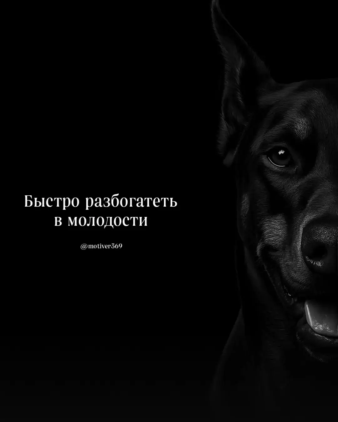 Вот что нужно, когда никто другой не видит видения.Когда вы строите в тишине, жертвуя комфортом и оставаясь сосредоточенным, пока мир сомневается в вас. Тяжёлая работа одинока… но она того стоить. #Мотивация   #Успех   #Саморазвитие   #Достижения   #МечтыСбываются   #РаботаНадСобой   #НеСдавайся   #Цели 