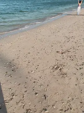 Steps follow the rhythm of the waves, footprints fading and deepening. 