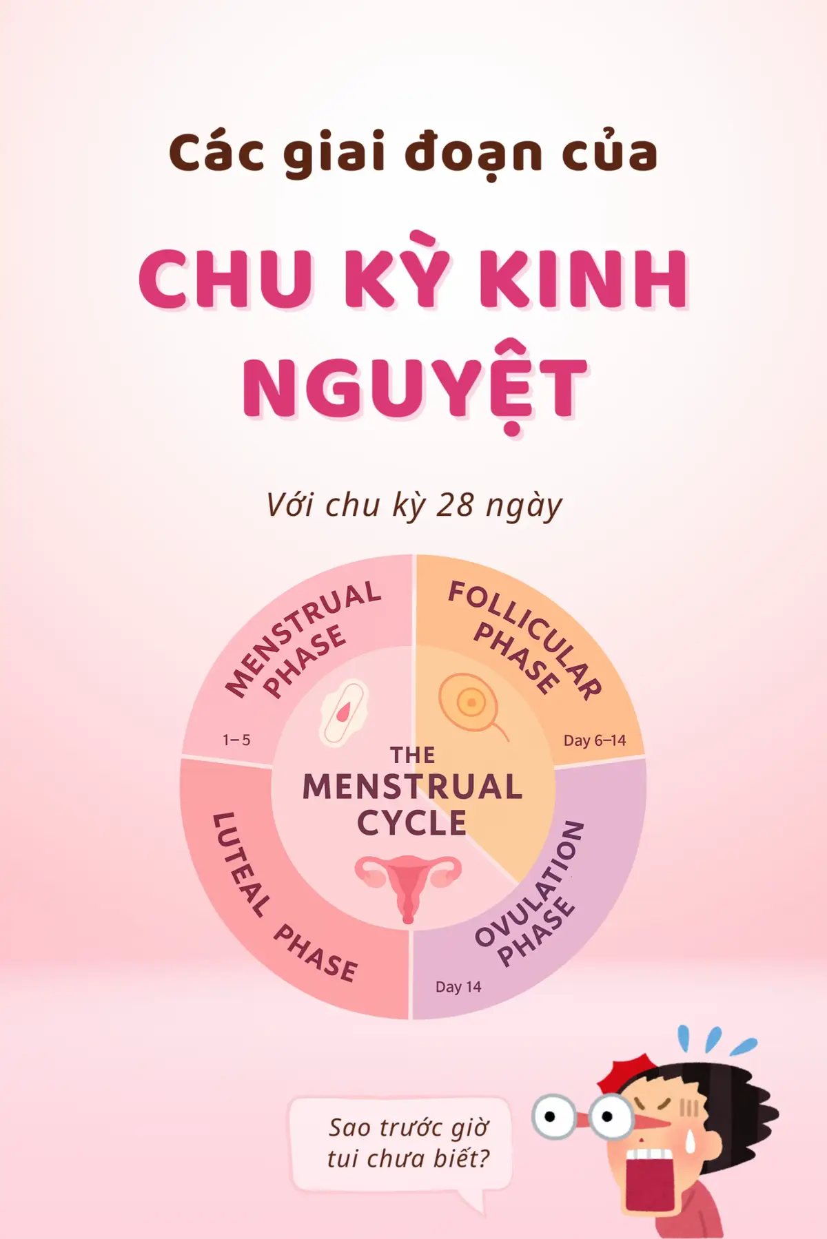 Chu kỳ kinh nguyệt không chỉ là 'đến tháng' đâu nha 😳 Cơ thể, tâm trạng, làn da của bạn thay đổi liên tục như tàu lượn siêu tốc! Hiểu rõ 4 giai đoạn để yêu cơ thể mình hơn 💗 #ChuKyKinhNguyet #LearnOnTikTok #SucKhoePhuNu #phunu