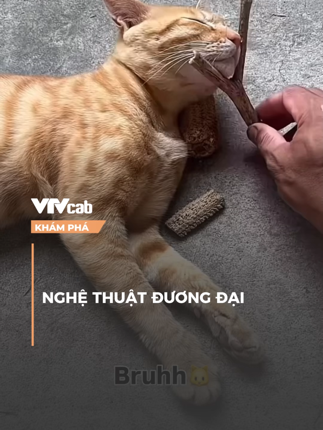 Nghệ thuật đương đại #vtvlive #vtvcab #khampha #onlive #NDH