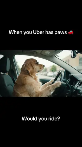 Relatable? Let us know in the comments!  #PawChamp #DogTraining #Dogs #DogLove #DogParents #DogTrainingApp #aidogs 