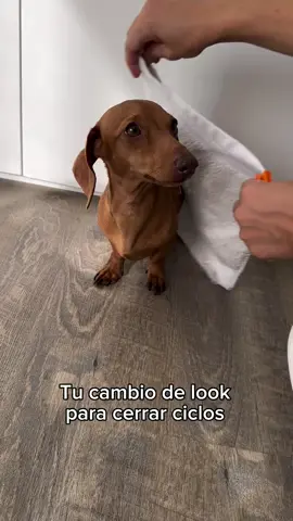 Cerrando ciclos