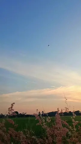 Ambik lah kalau suka buat story atau quotes sendiri... tap ❤️... #senja #foryoupage #fypシ゚viral #foryou #sunset #oripadi🌾 