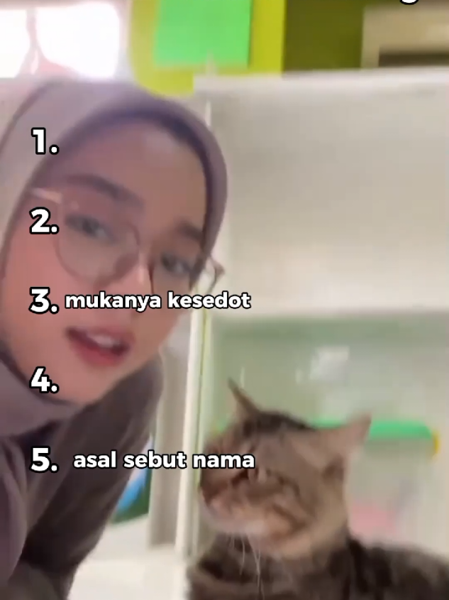 ranking top 5 kelakuan random kucing terlucu #kucinglucu #hewanlucu #lucu #fyp 