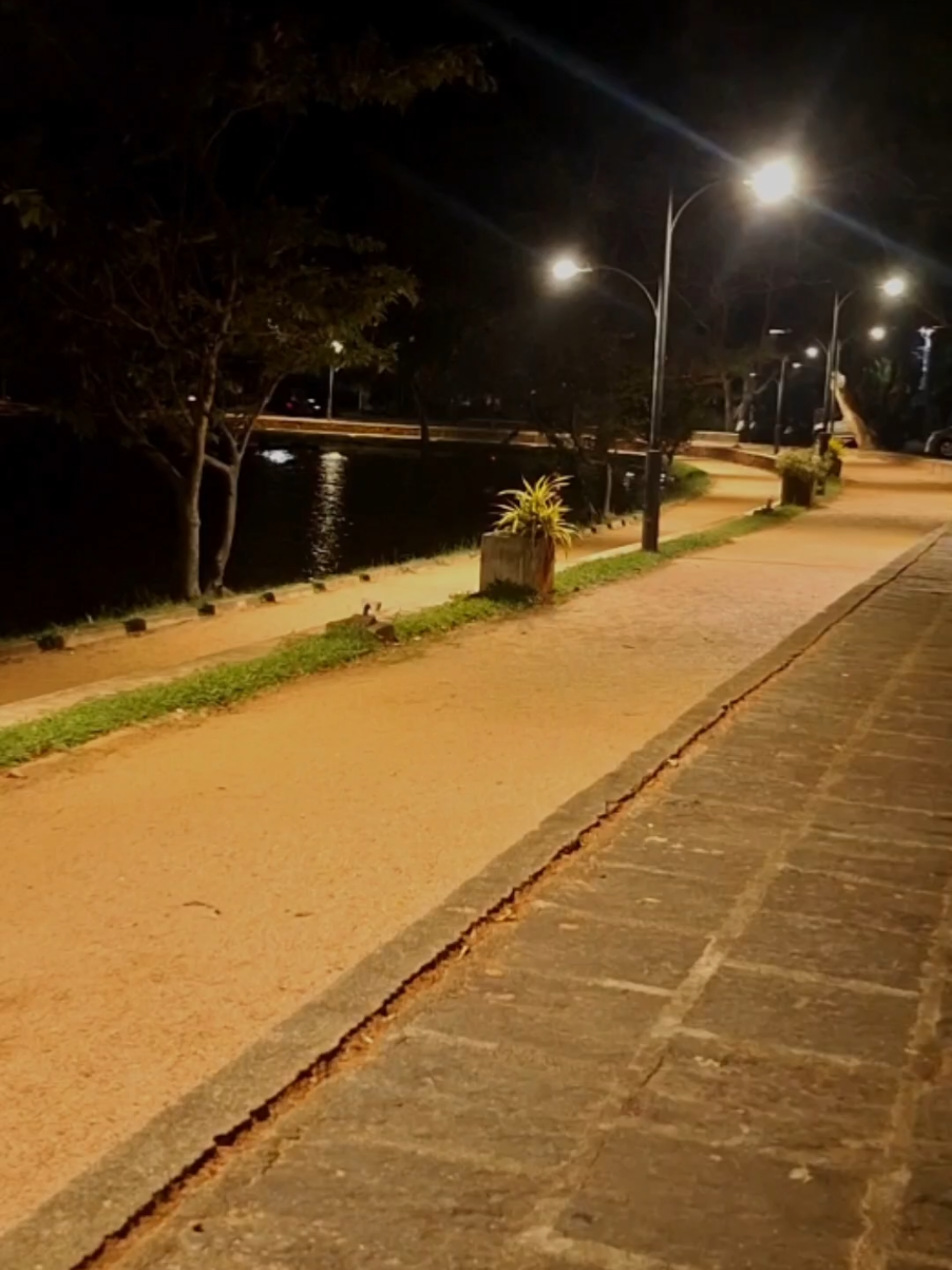 මේ වෙලාවට මෙතන නිදහස් 🖤 #kurunegala #lakeround #kurunegalalake #ranthaliyawewa #nightvibes #mood #sinhalasong #viral #fyp  Yannam Ma (slowed reverb) - Shanuka Ekanayaka 