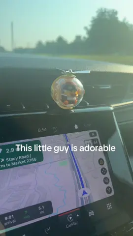 Always makes me smile in my jeep #carsoftiktok #carsmell #carfreshener #carfreshies 