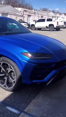 #fyp #license #lamborghiniurus 