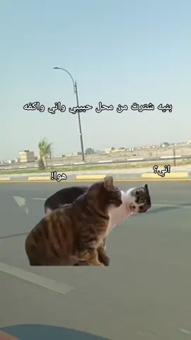 اي والله صارت 🤌😂🫂#CapCut #الشعب_الصيني_ماله_حل😂😂 @🦅آبن الناصرية💔🥀 #الشعب_الصيني_ماله_حل😂😂 