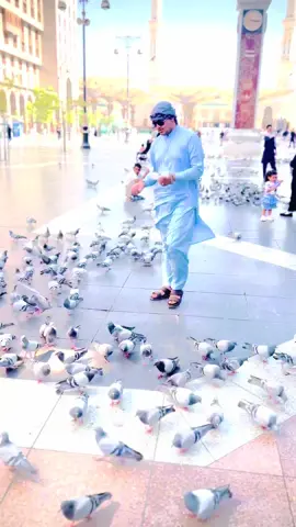 Madina Al Manora🫶💞 #madina #janana #viralvideo 