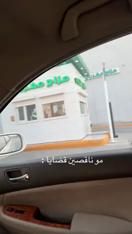 #شاورما #شاورمر لايكون ارتخيتو ؟