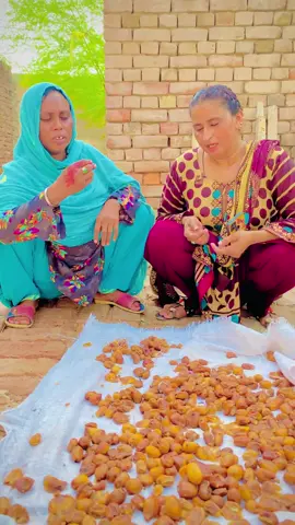 @khanbaba.1214 #khanbaba1214#noorvlogs1214 #khanbaba1214 #khanbaba1214 #noorvlogs1214 #khanbaba1214 