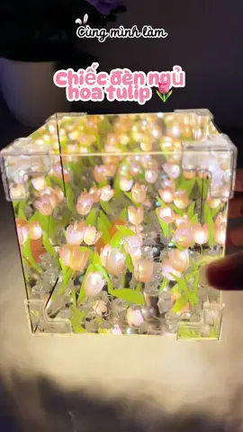 Chiếc đèn ngủ biển tulip 🌷 xinhh yeuu  #seemehoa #viral #hoatulip🌷 #denngu #viral 