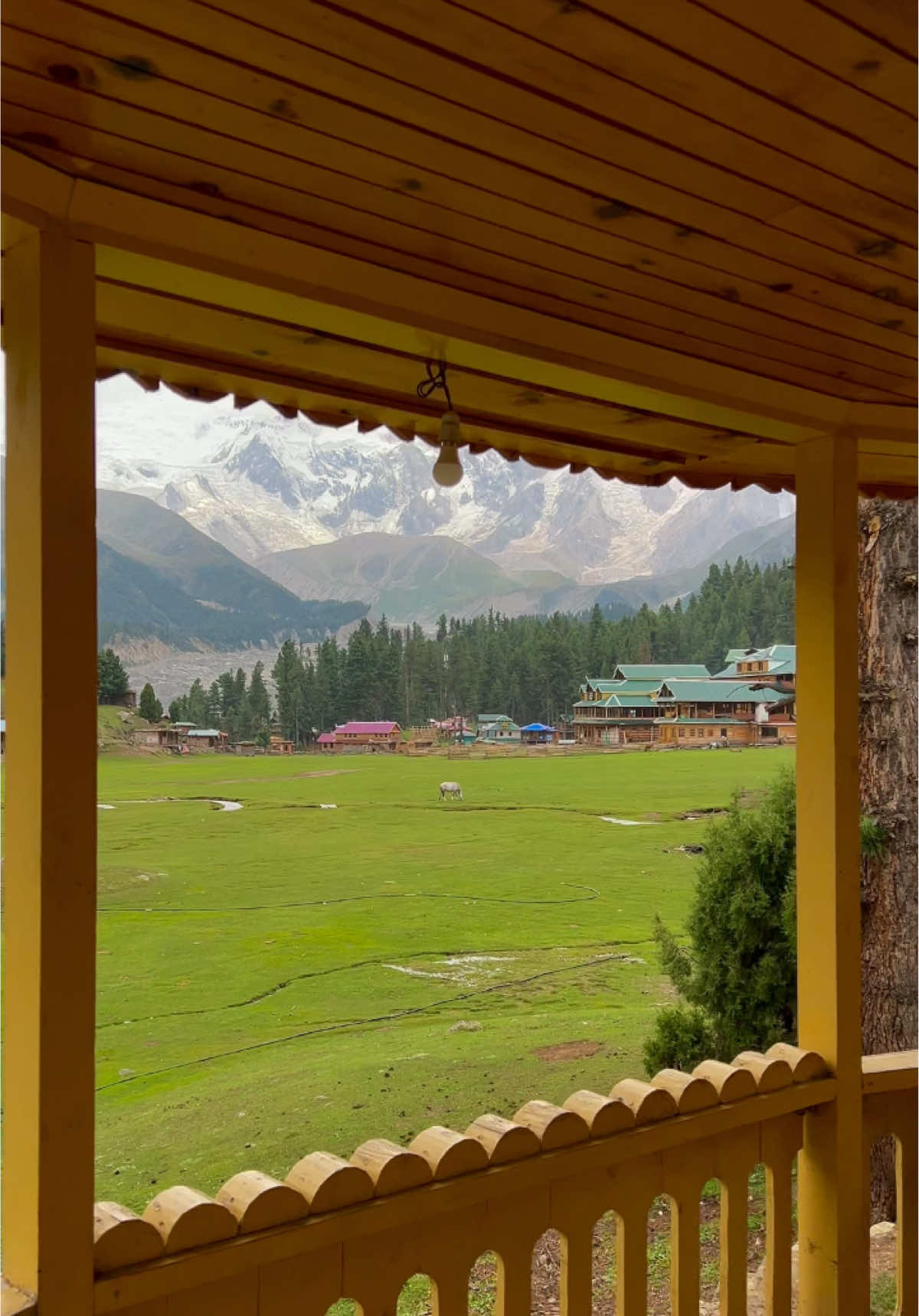 0% Network but 100% Peace 🏔️❤️😍 📍: Fairy meadows - Nangaparbat now a days 🏔️❤️😍 #foryou #foryoupage #unfrezzmyaccount #skardutourismclub #k2adventureclub #goomopakistan 