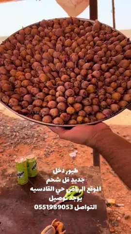 الجديد #اكسبلور #صيد #دخل #مزرعة #طيور #القصيم #الشعب_الصيني_ماله_حل😂😂 #شوي #قمري #طبخ 