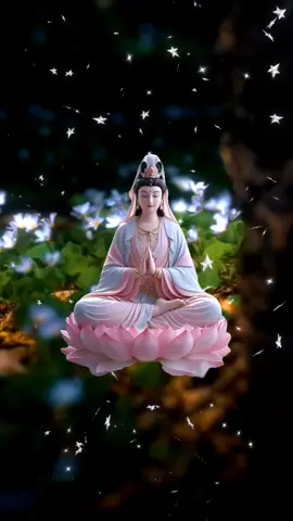 NAM MÔ ĐẠI BI QUÁN THẾ ÂM BỒ TÁT #xuhuongtiktoc❤️ #nammoadidaphat🙏🍀🌹 