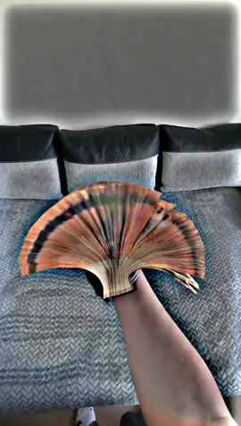 #mrthankyoutmoney #trendingvideo #money #mr #foryou #foryoupage❤️❤️ #shorts #reels #virlvideo #fypシ゚ #luck 