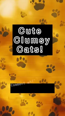 Cute clumsy cats for the win!! #catsoftiktok #funny #PetTok #CatsOfTikTok 