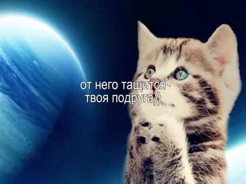 супер друг))) #recommendations #cat #липсинг #звукидлялипсинга #рек #залети #музыка #друг #текст #music #коты 