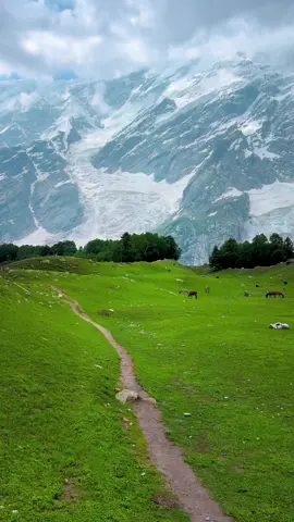 Kutwal Valley Gilgit Baltistan 🏔️🥰💕 #tufailabbas2 #kutwalvalley #roadtrip #pakistan #gilgitbaltistan #foryou #viral #fyp 
