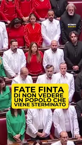 Abbiamo portato in Aula i colori della Palestina, la sua bandiera.  Questo governo è colpevole di non riconoscere lo Stato; di aver stretto la mano al genocida Netanyahu e di aver sostenuto politicamente ed economicamente chi ha attuato il più grande sterminio di questa porzione di secolo.  Questo governo è colpevole, per sempre, di non essere stato umano.