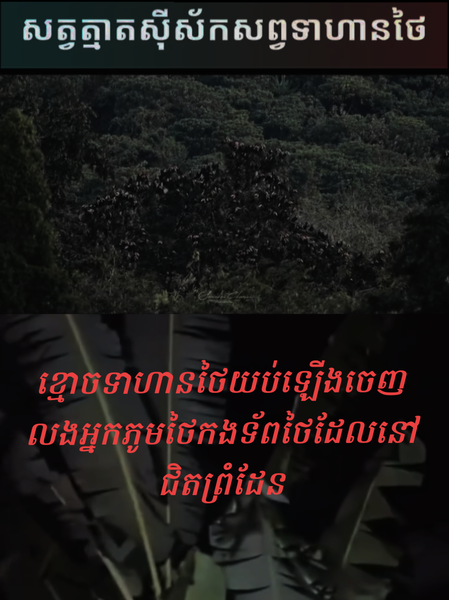 ខ្មោចទាហានថៃយប់ឡើងចេញលង #គួរអោយខ្លាច#thailand🇹🇭 #แม่ทัพภาคที่2 #TikToknews #fyp 