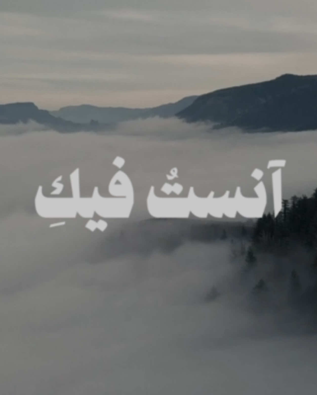 - ولمستُ إشراقًا وفنَّ .. 🤍🎧                         #محمد_عبده  #abdu 