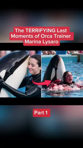 The #TERRIFYING Last Moments of #Orca #Trainer #Maris #ellington 