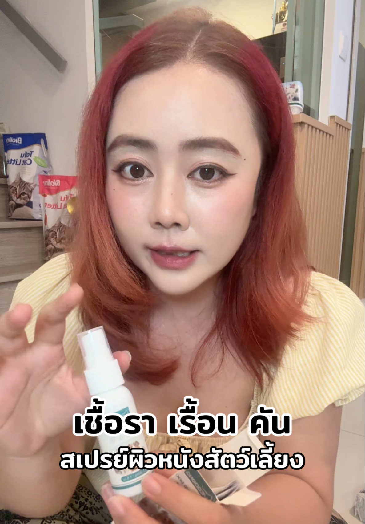 #สเปรย์ผิวหนังสุนัขและแมว #สเปรย์โรคผิวหนังสัตว์เลี้ยง #เชื้อราแมว #รักษาเชื้อราแมว #โรคผิวหนังสัตว์เลี้ยง #ขี้เรื้อน #ขี้เรื้อนหมาแมว 