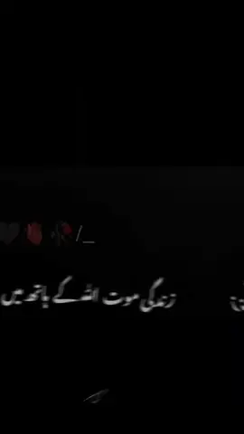 #@Noman khan 786 @Just Believe Allah ♥️♥️♥️ @naqeebullah Jani 18 #