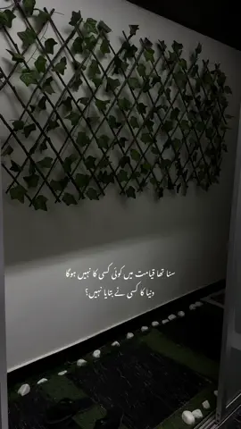 #fyp 
