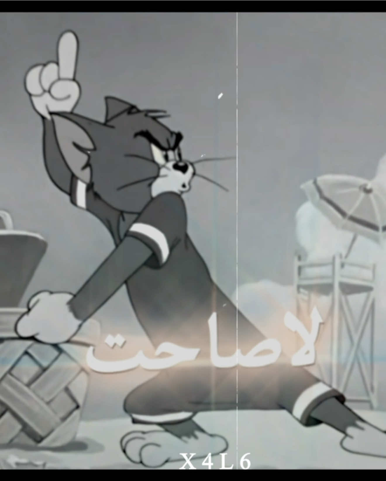 لاصاحت العذراء فحنا لها اخوان 😾👋 #fyp #explore #tomandjerry #توم_وجيري #edits #viral #اكسبلور 