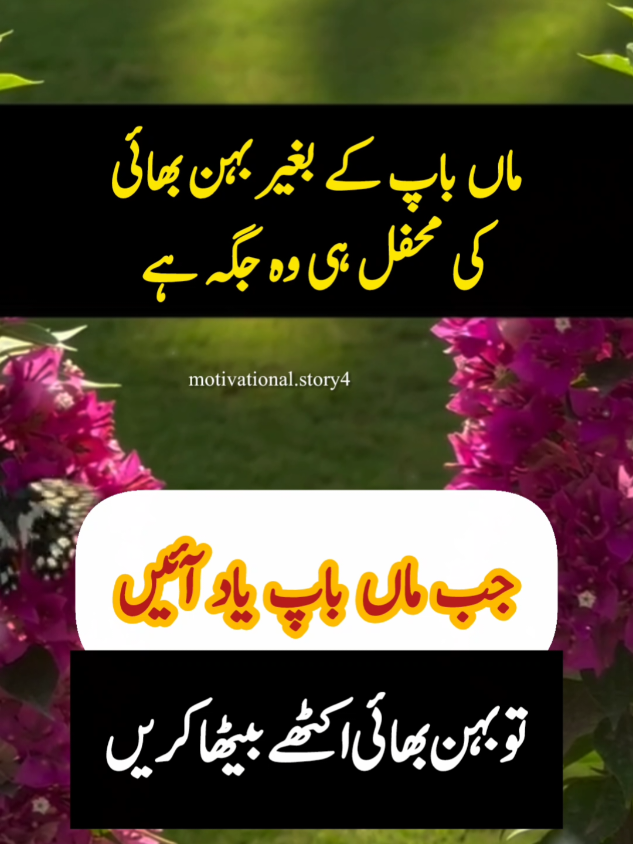anmol moti jab ma bap yad aen#islamic_video#foryou#foru#LearnOnTikTok#motivation 