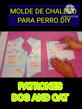 APRENDE A REALIZAR MOLDE DE CHALECO PARA PERRO Y GATO  #ropaparaperros #ropaparaperros #moldes #ropaparamascotas #moldes 