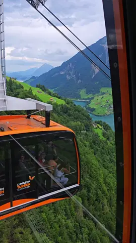#السياحة_في_سويسرا🇨🇭 #Davos #lungernsee🇨🇭 #Grindelwald #lauterbrunnen #switzerland🇨🇭 #Basel #Luzern #Engadin #Lugano #Seealpsee #زيورخ🇨🇭 