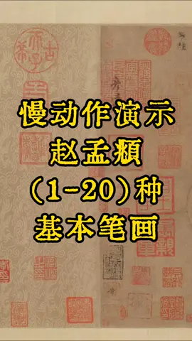 基本笔画学起来！Let’s start from beginning! #书法 #DSA #小众 #studyinsingapore #StudyCalligraphy #初学者必学 #書法練習 