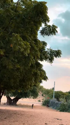 ايئن نه ٿي جو اوهان بدلجي وڃو #foryou #foryoupage #soorajjaipal #thar #village #viralvideo 